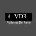 Logo Valientes Del Reyno