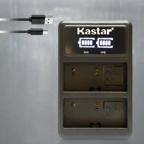 Cargador de Batería BLH 1 LED