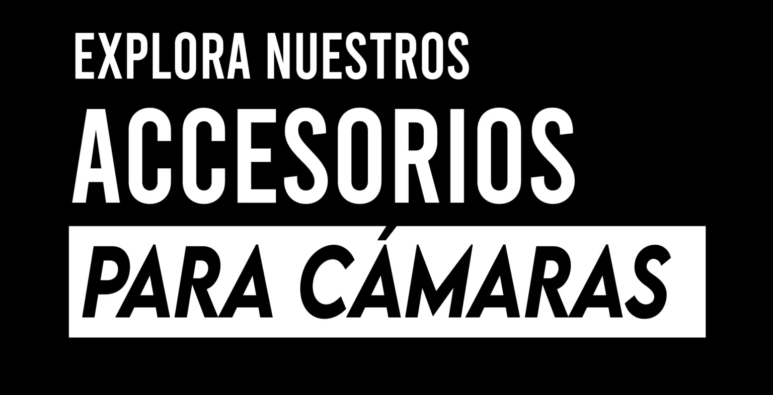 yoy diseno web 21 e1786498864953